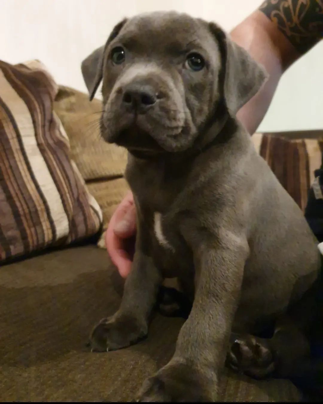 Rocco Junge